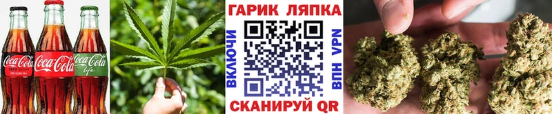 дарнет шоп  Лукоянов  Cannafood конопля 
