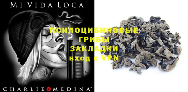 кокс Осташков