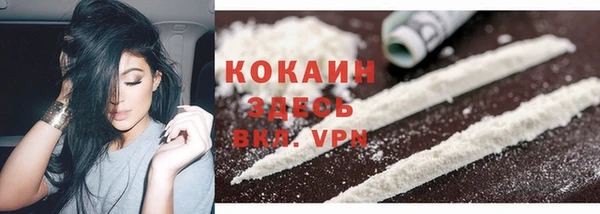 кокс Осташков